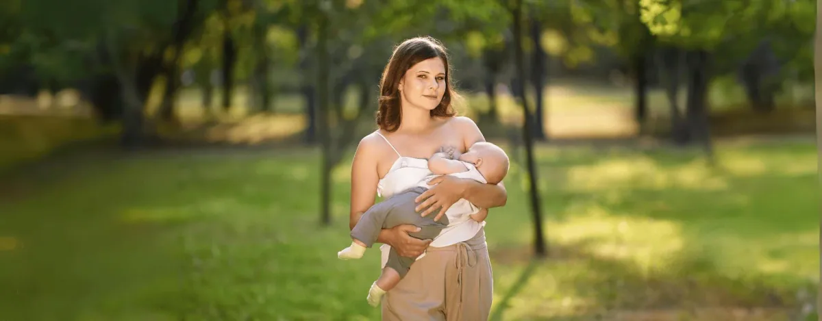 Comment mettre les coquillages d'allaitement en nacre ?