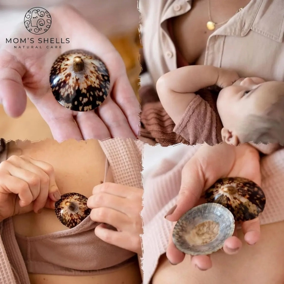 Coquillages d'allaitement MOM'S SHELLS (nacre, Made in France) - 3
