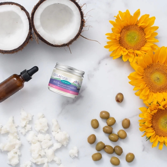 Baume d'allaitement bio Lansinoh (100% naturel, sans rinçage) - 12