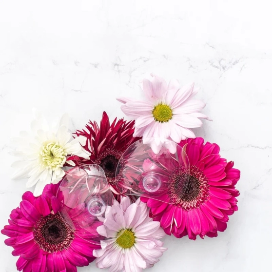 Bouts de sein Contact Lansinoh (silicone, 2 tailles) - 8