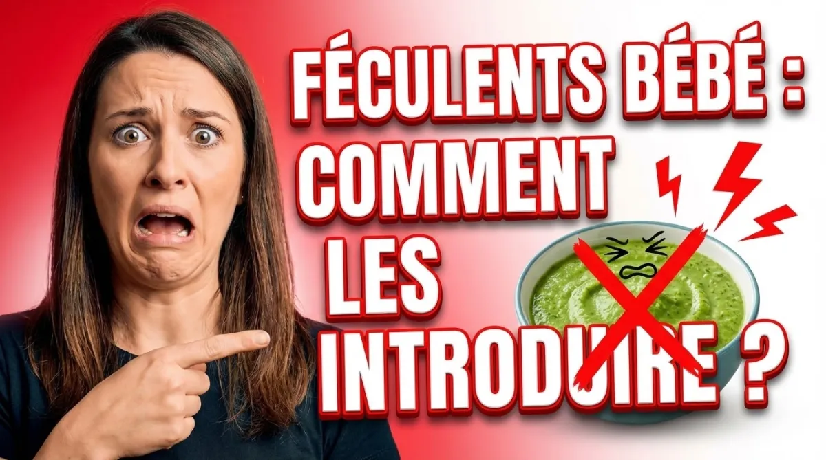 Comment introduire les féculents chez bébé : âge, quantité et conseils